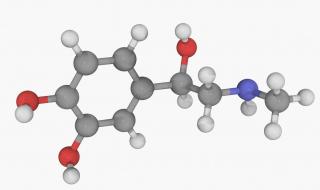 肾上腺素的作用机制 盐酸肾上腺素的作用和用途